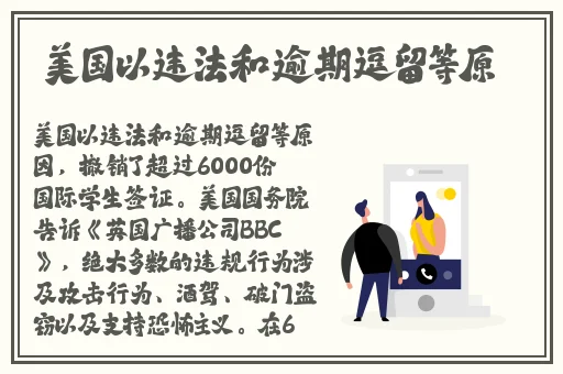 片多多2024最新